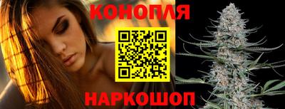 прущие грибы Конаково
